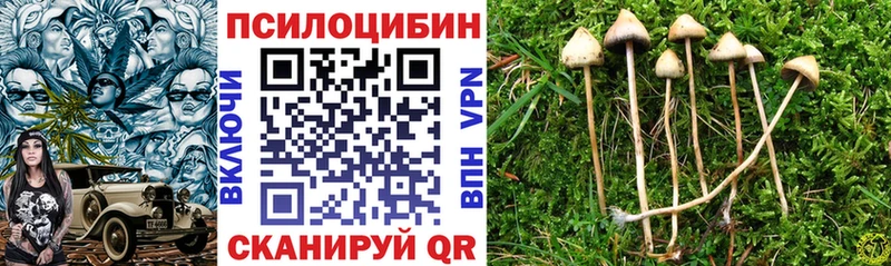 Псилоцибиновые грибы мицелий Владимир