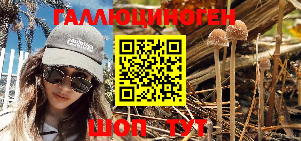 Псилоцибиновые грибы Psilocybe  продажа наркотиков  Владимир 