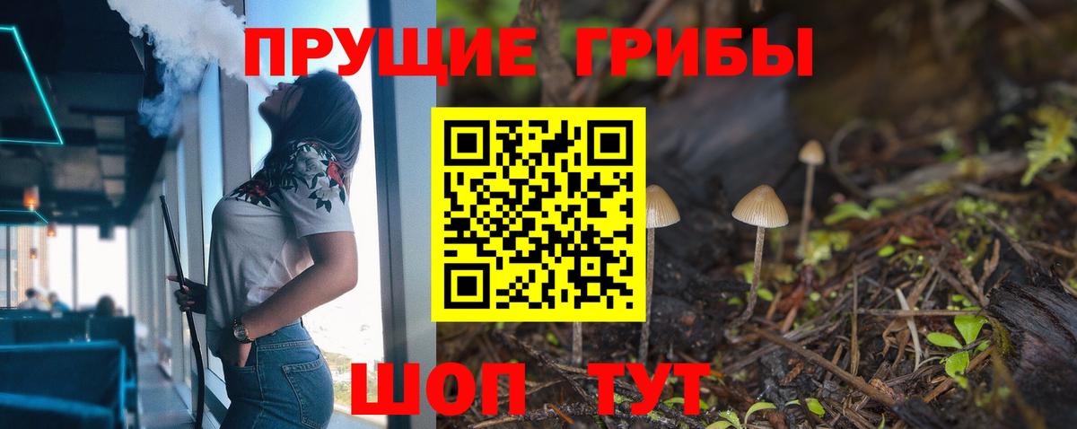 Псилоцибиновые грибы MAGIC MUSHROOMS  Вход с VPN  Владимир 