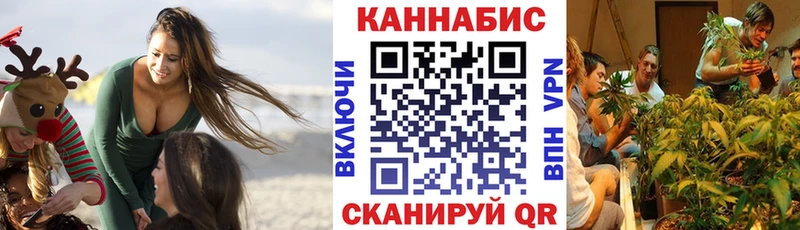 Шишки марихуана гибрид  Владимир 